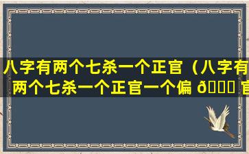 八字有两个七杀一个正官（八字有两个七杀一个正官一个偏 🍀 官）